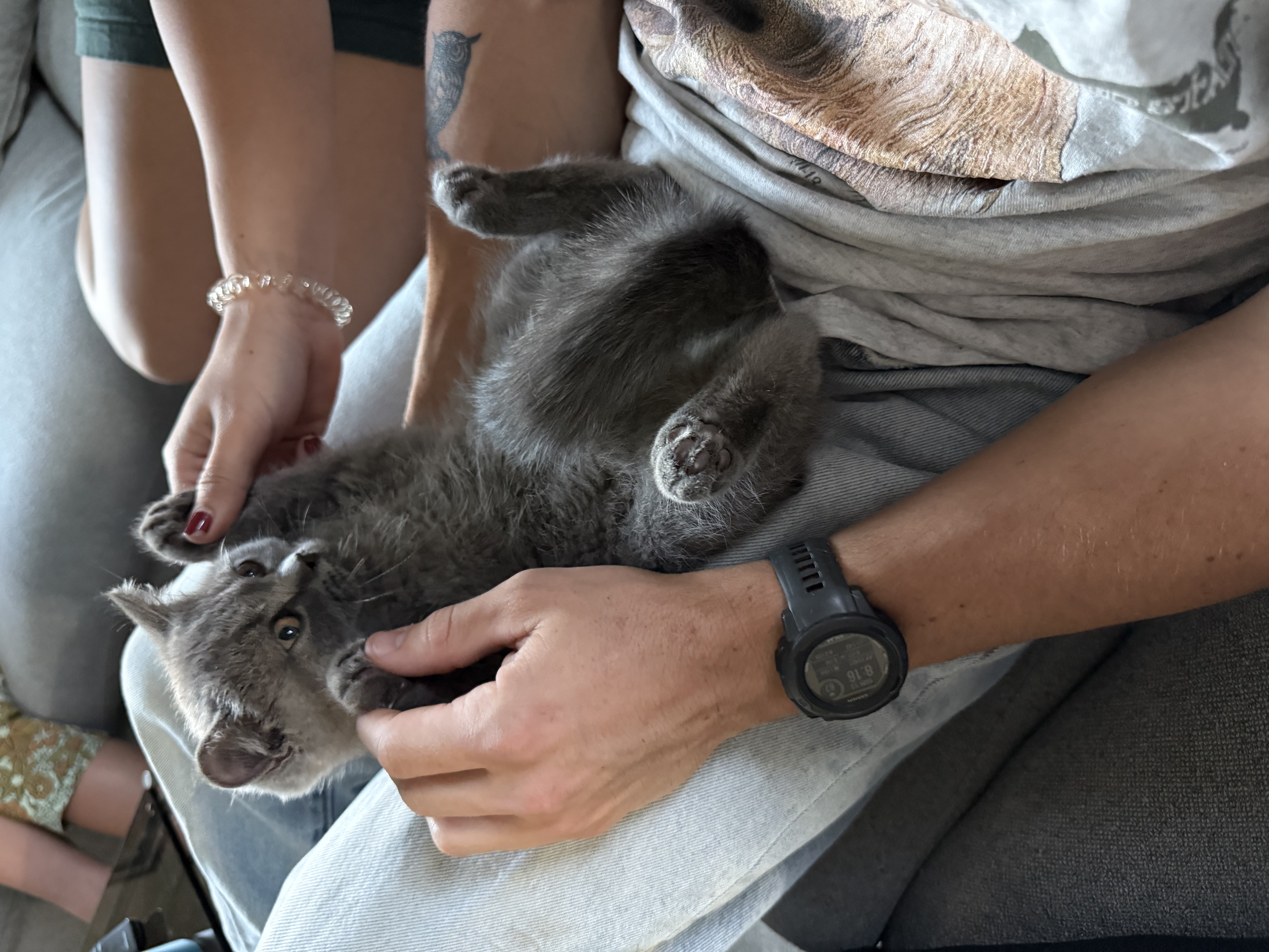 Nimbus & Hayden